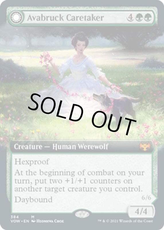 画像2: 【拡張】アヴァブルックの世話人/Avabruck Caretaker (2)