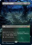 画像1: 【フルアート】死天狗茸の林間地/Deathcap Glade (1)