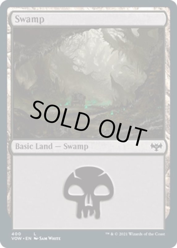 画像2: 沼/Swamp (2)