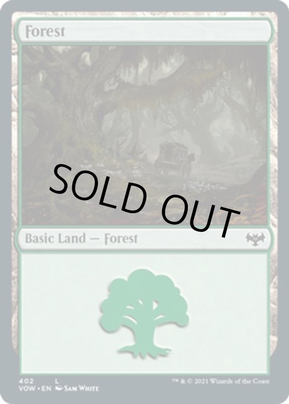 画像2: 森/Forest (2)