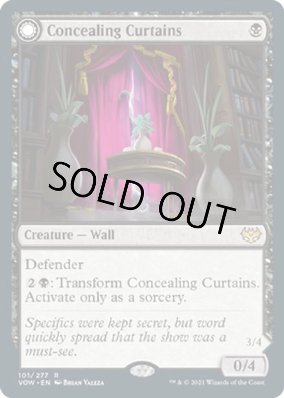 画像3: 隠し幕/Concealing Curtains (3)