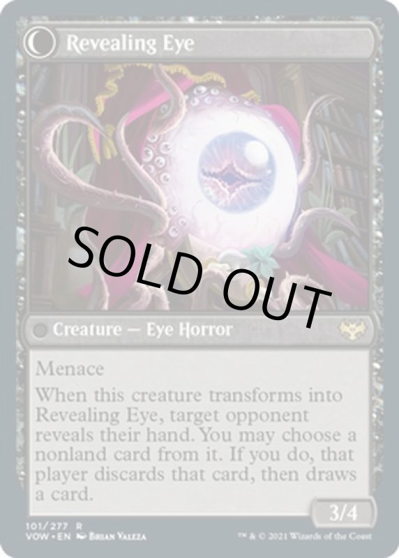 画像4: 隠し幕/Concealing Curtains (4)