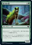 画像1: 胞子背の狼/Sporeback Wolf (1)