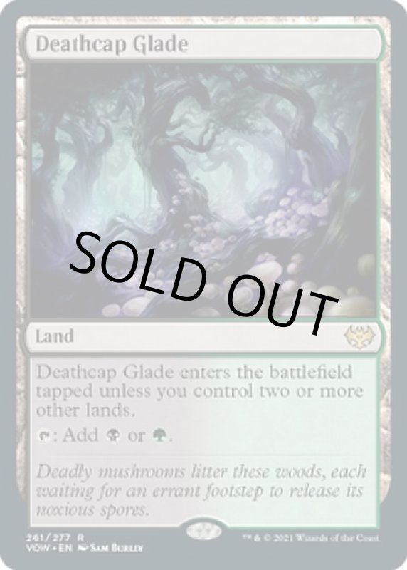 画像2: 死天狗茸の林間地/Deathcap Glade (2)