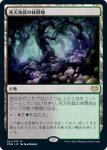 画像1: 死天狗茸の林間地/Deathcap Glade (1)