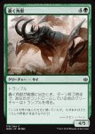 画像1: 轟く角獣/Thundering Ceratok　 (1)