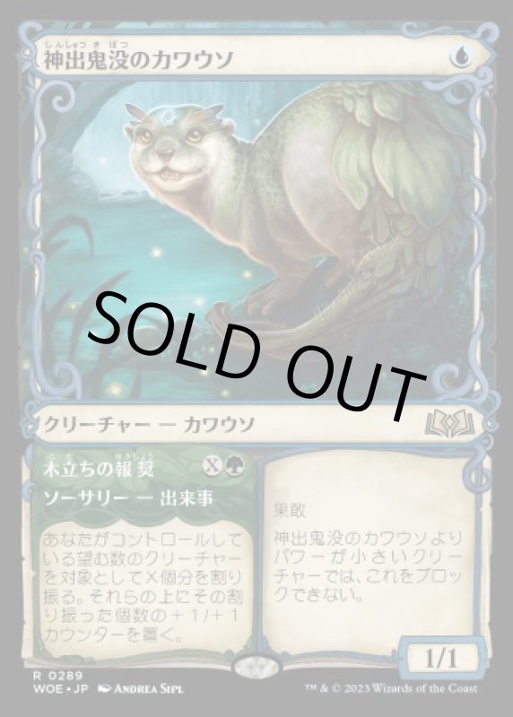 画像1: 【ショーケース】神出鬼没のカワウソ/Elusive Otter (1)