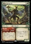 画像1: 【ショーケース】探索するドルイド/Questing Druid (1)