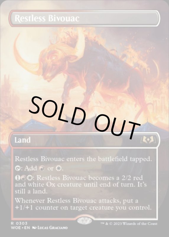 画像2: 【ボーダーレス】眠らずの露営/Restless Bivouac (2)