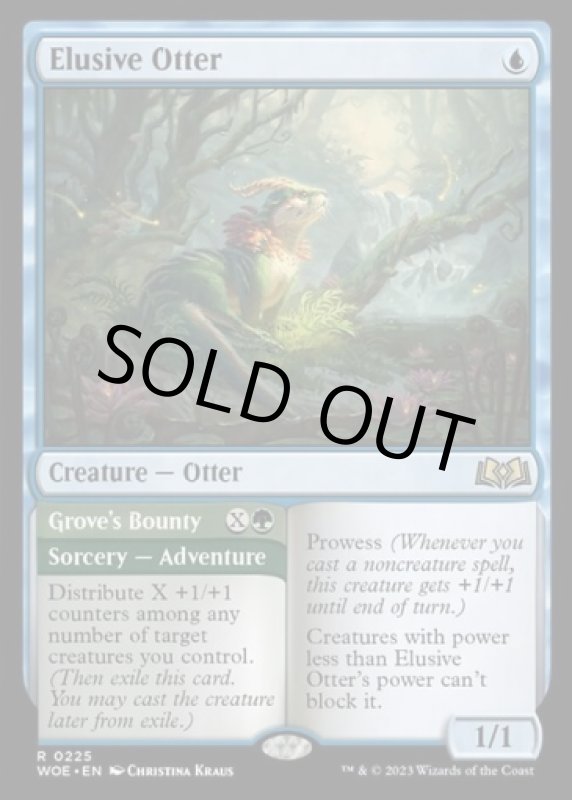 画像2: 神出鬼没のカワウソ/Elusive Otter (2)