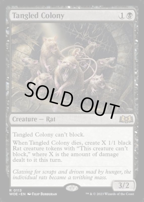 画像2: もつれる群体/Tangled Colony (2)