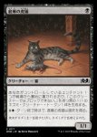 画像1: 倉庫の虎猫/Warehouse Tabby (1)