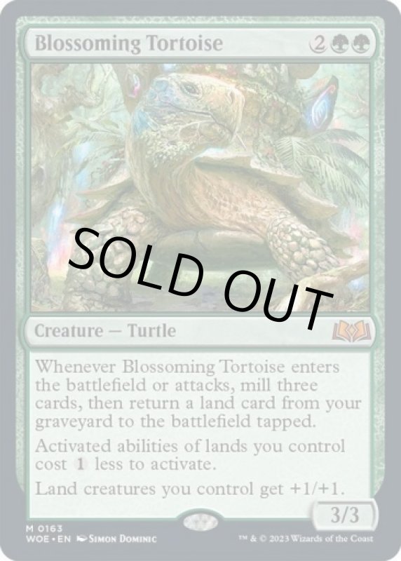 画像2: 開花の亀/Blossoming Tortoise (2)