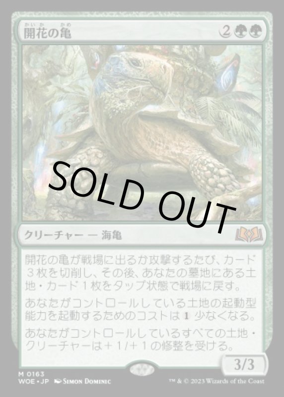 画像1: 開花の亀/Blossoming Tortoise (1)