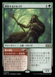 画像1: 探索するドルイド/Questing Druid (1)