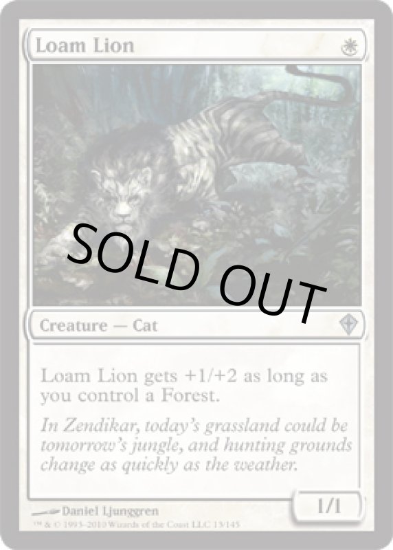 画像2: 壌土のライオン/Loam Lion  (2)