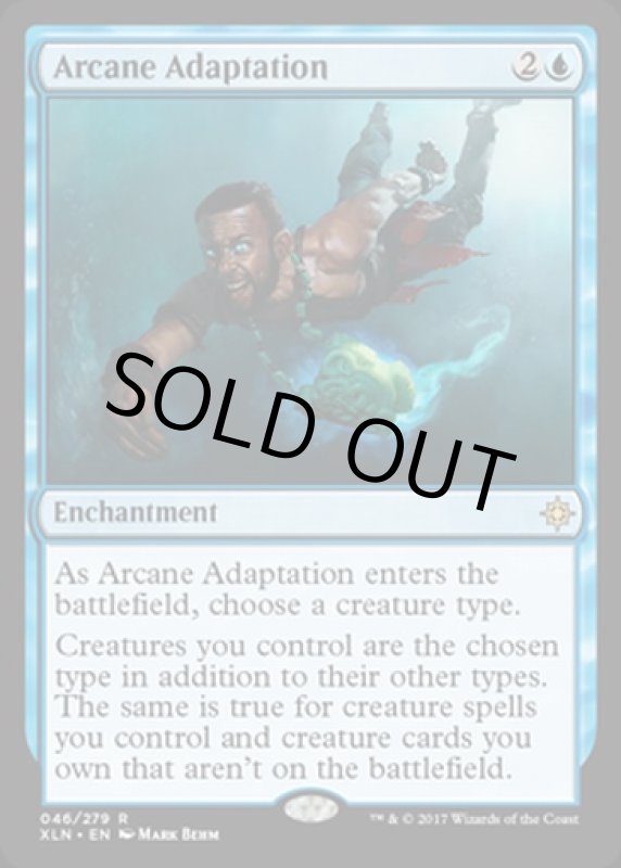 画像2: 秘儀での順応/Arcane Adaptation  (2)