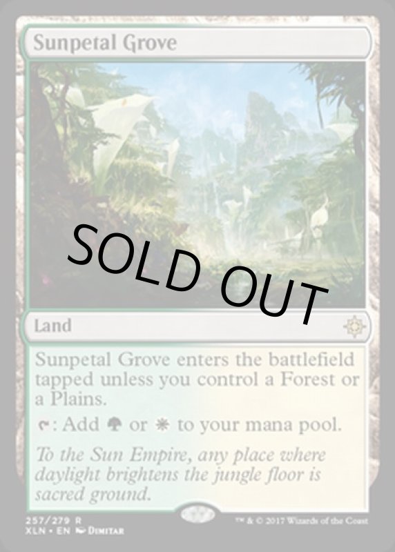 画像2: 陽花弁の木立ち/Sunpetal Grove  (2)