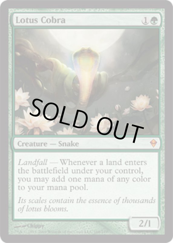 画像2: 水蓮のコブラ/Lotus Cobra  (2)