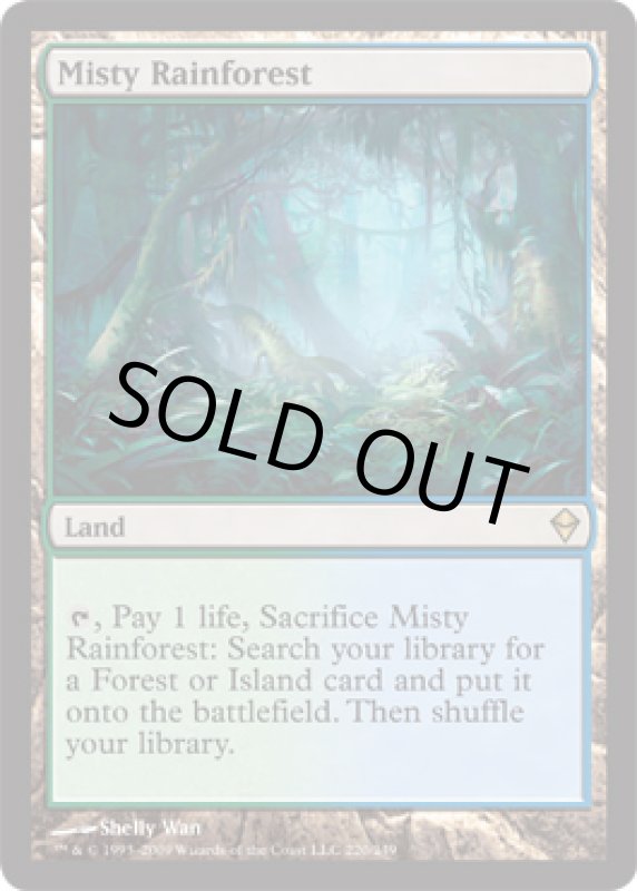 画像2: 霧深い雨林/Misty Rainforest  (2)