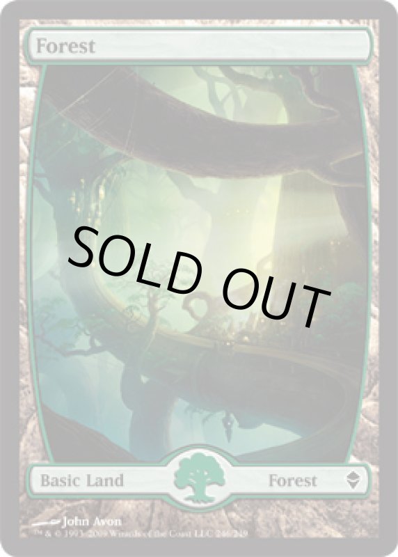 画像2: 森/Forest  (2)