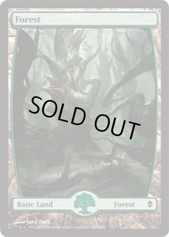 画像2: 森/Forest  (2)