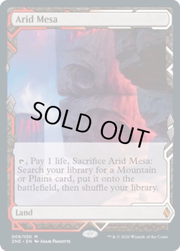 画像2: 乾燥台地/Arid Mesa　 (2)