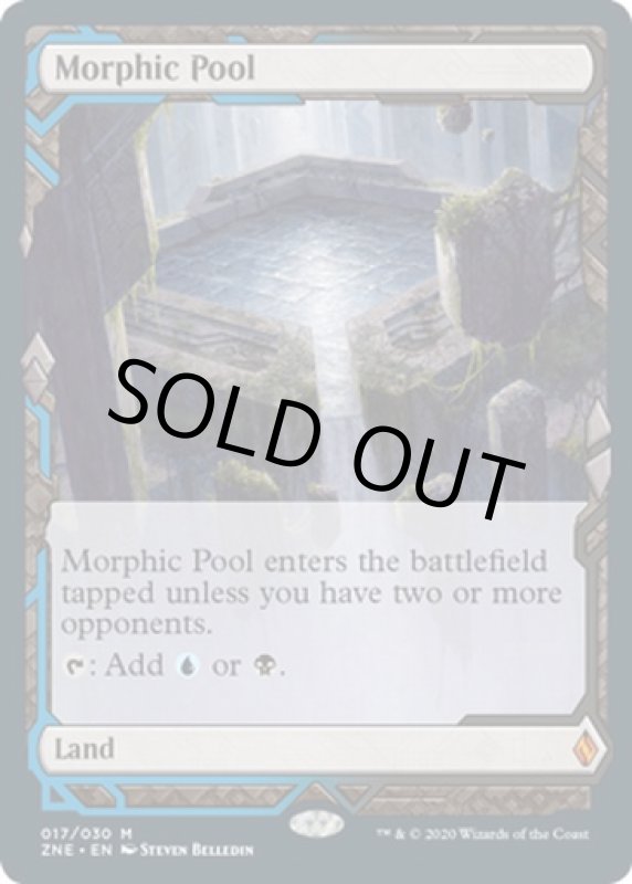 画像2: 変遷の泉/Morphic Pool  (2)