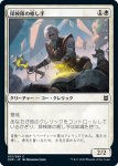 画像1: 探検隊の癒し手/Expedition Healer　 (1)