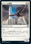 画像1: タジームの猛禽/Tazeem Raptor　 (1)