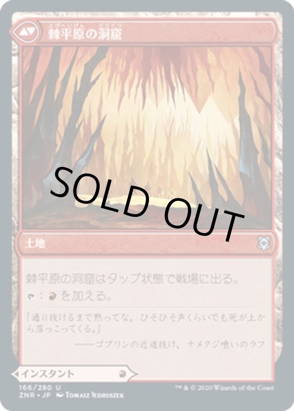 画像2: 棘平原の危険/Spikefield Hazard　 (2)