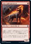 画像1: アクームのヘルハウンド/Akoum Hellhound　 (1)