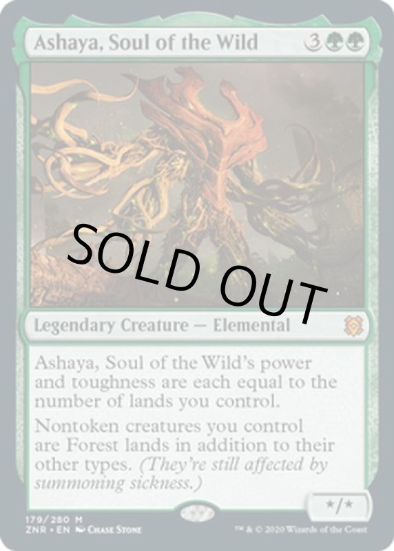 画像2: 野生の魂、アシャヤ/Ashaya, Soul of the Wild  (2)