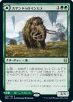 画像1: カザンドゥのマンモス/Kazandu Mammoth　 (1)